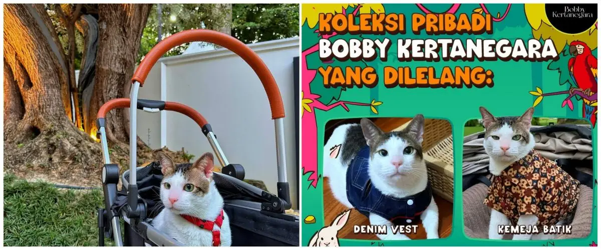 Baju Bobby Kertanegara kucing Prabowo Subianto dilelang seharga Rp12 juta, ini sosok pemenangnya