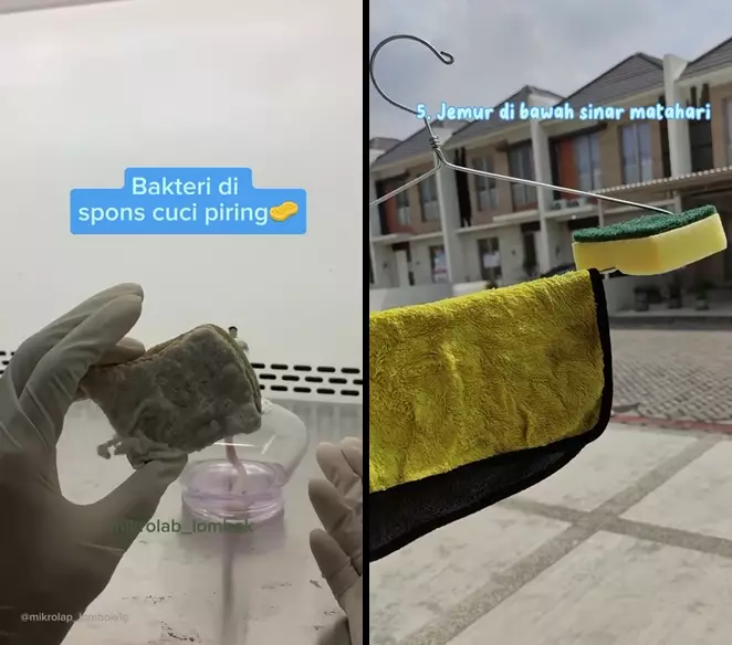 cara bersihkan spons cuci piring  © 2025 TikTok