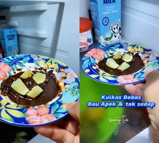 trik kulkas bebas bau apek dan tak sedap © YouTube