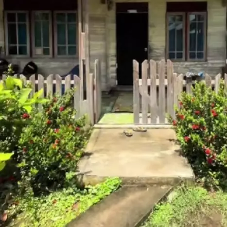 Wanita ini buktikan renovasi rumah dinding kayu jadi tampak mewah cuma modal Rp1 juta, ini 9 potretnya