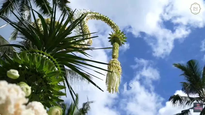 dekorasi akad nikah luna maya maxime bouttier © 2025 YouTube