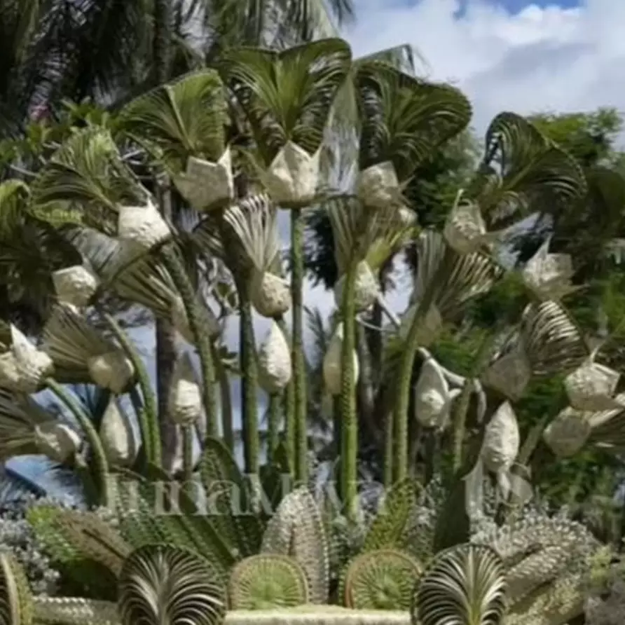 9 Potret dekorasi akad nikah Luna Maya dan Maxime Bouttier, desain anyaman janurnya bikin salah fokus