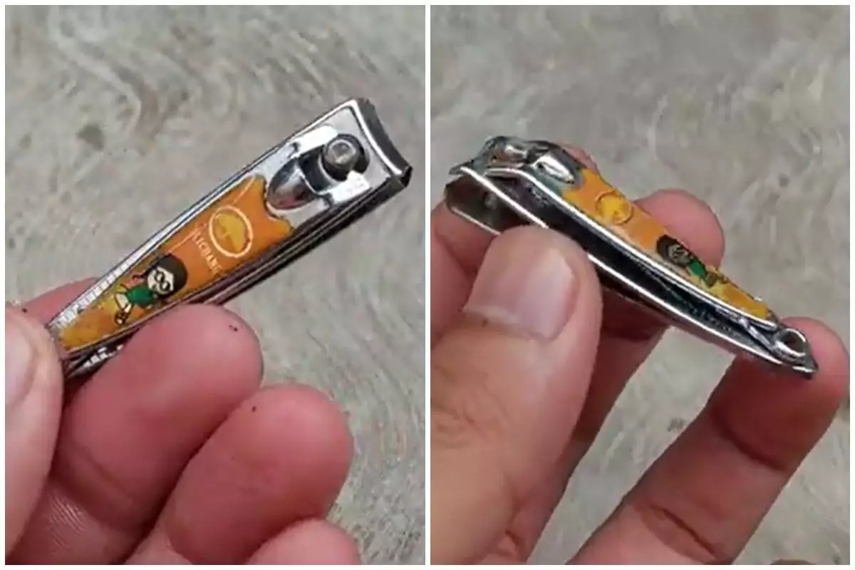 Gunting kuku tumpul bisa kembali tajam pakai trik ini, sekarang tak perlu repot beli baru