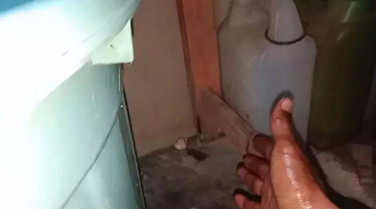 cara racik racun tikus royco © 2023 brilio.net