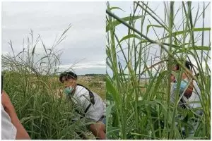 Niat bikin estetik, 13 momen apes saat ambil foto ini hasilnya bikin maju mundur mau posting