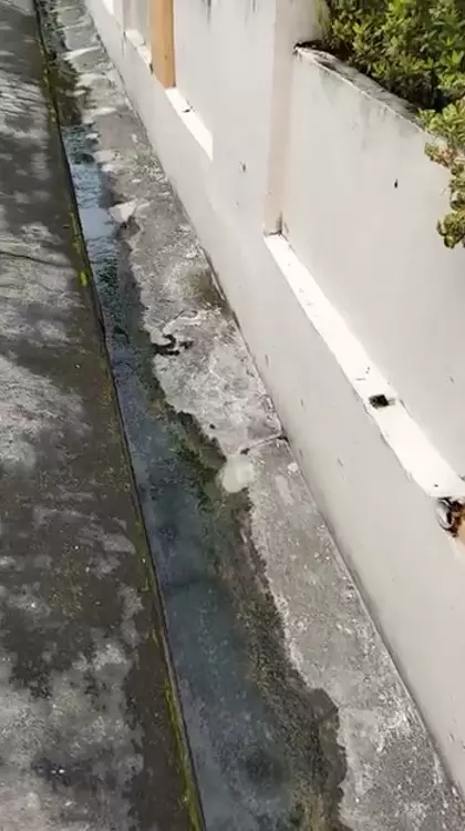 Sekarang bikin parit depan rumah bebas banjir © Instagram Sekarang bikin parit depan rumah bebas banjir © Instagram