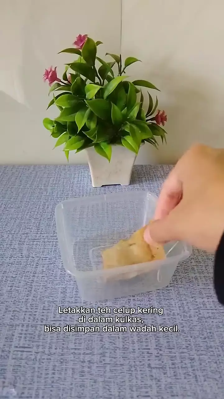 Trik menghilangkan bau tak sedap di kulkas pakai 1 ampas dapur, sekarang terbukti jitu auto wangi lagi berbagai sumber