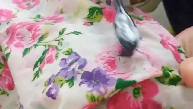 cara cuci taplak meja pakai sabun cuci piring © 2023 brilio.net