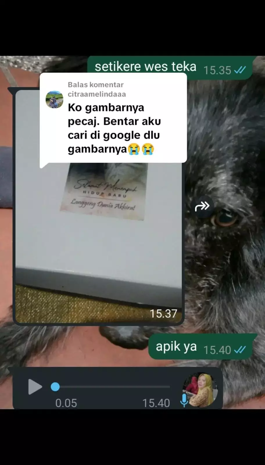 netizen syukuran nasi kuning luna maya menikah © 2025 TikTok