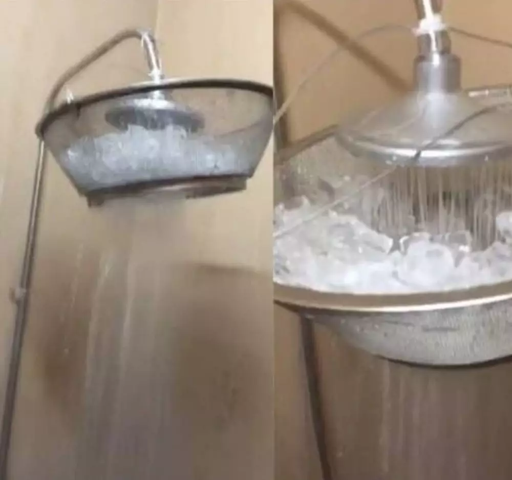 manusia pakai otak © berbagai sumber