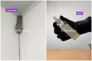 Usir sarang laba-laba sekarang tak perlu repot pakai sapu, triknya cuma pakai ramuan 3 bahan dapur