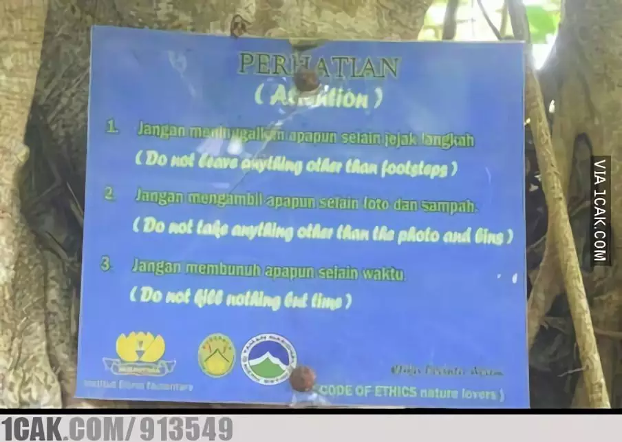 tulisan di pohon © berbagai sumber tulisan di pohon © berbagai sumber