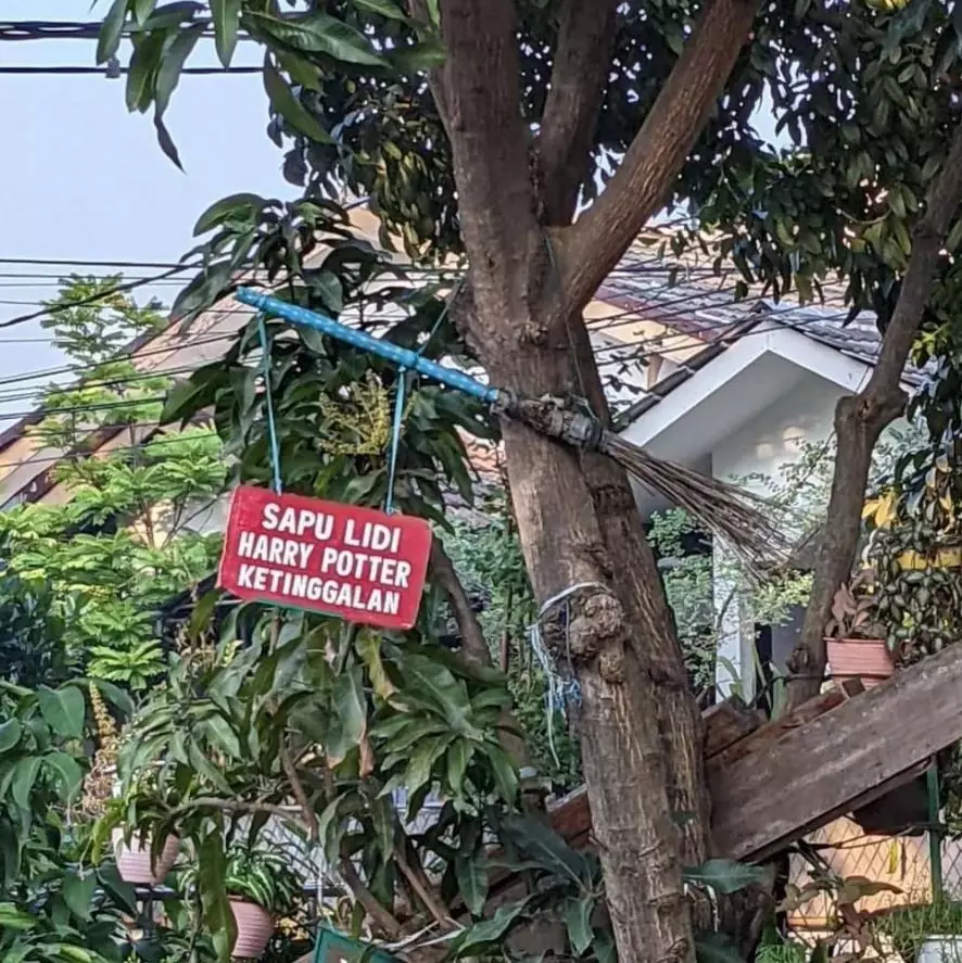 tulisan di pohon © berbagai sumber tulisan di pohon © berbagai sumber