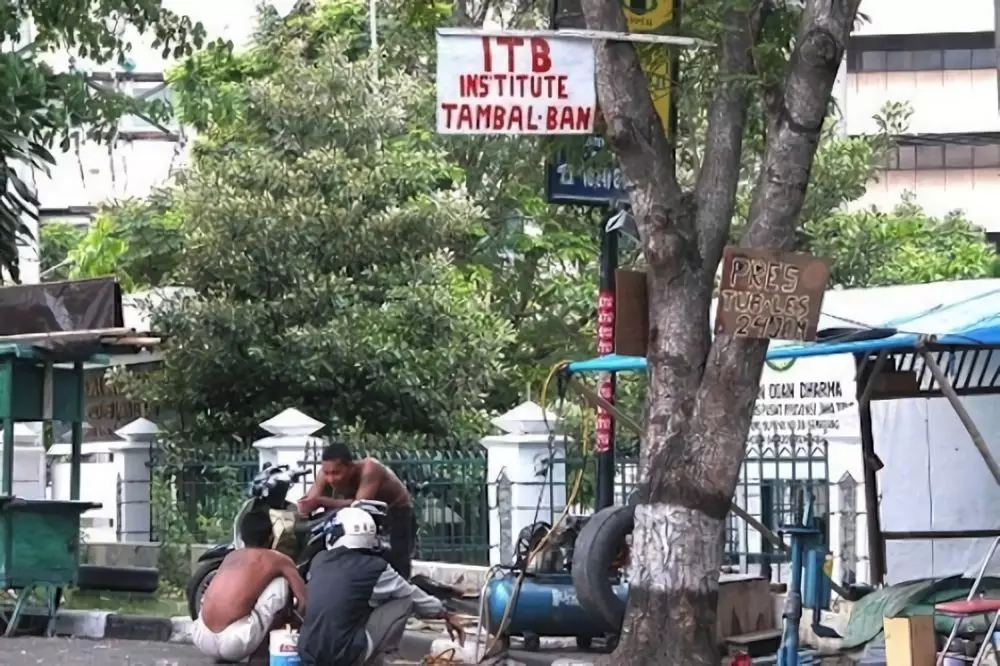 tulisan di pohon © berbagai sumber tulisan di pohon © berbagai sumber