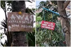 11 Tulisan kocak di pohon ini absurdnya nggak ketulungan, bikin yang baca auto senyum-senyum