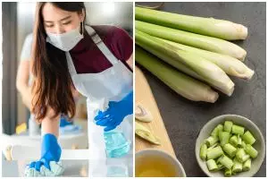 Limbah jadi manfaat: Cara bikin pembersih alami dari kulit buah dan sisa dapur