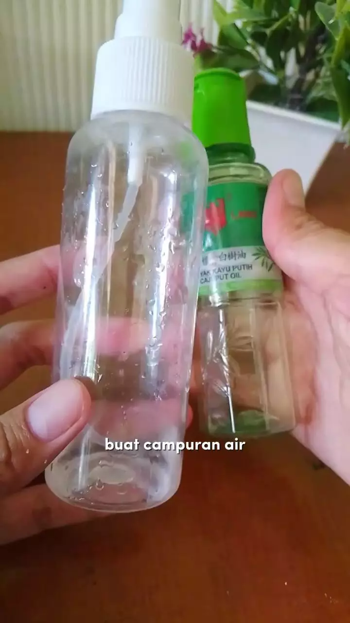 Trik hilangkan jamur di sepatu kulit, sekarang tak perlu rogoh uang Rp50 ribu berbagai sumber