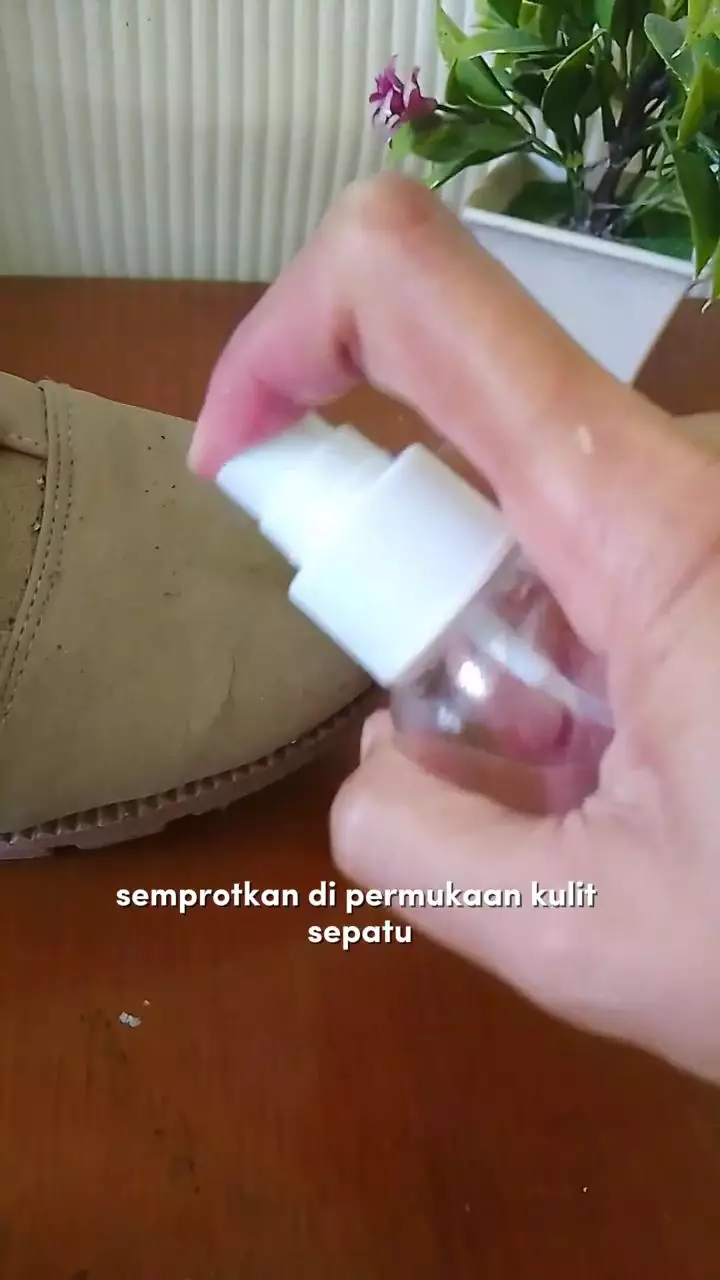 Trik hilangkan jamur di sepatu kulit, sekarang tak perlu rogoh uang Rp50 ribu berbagai sumber