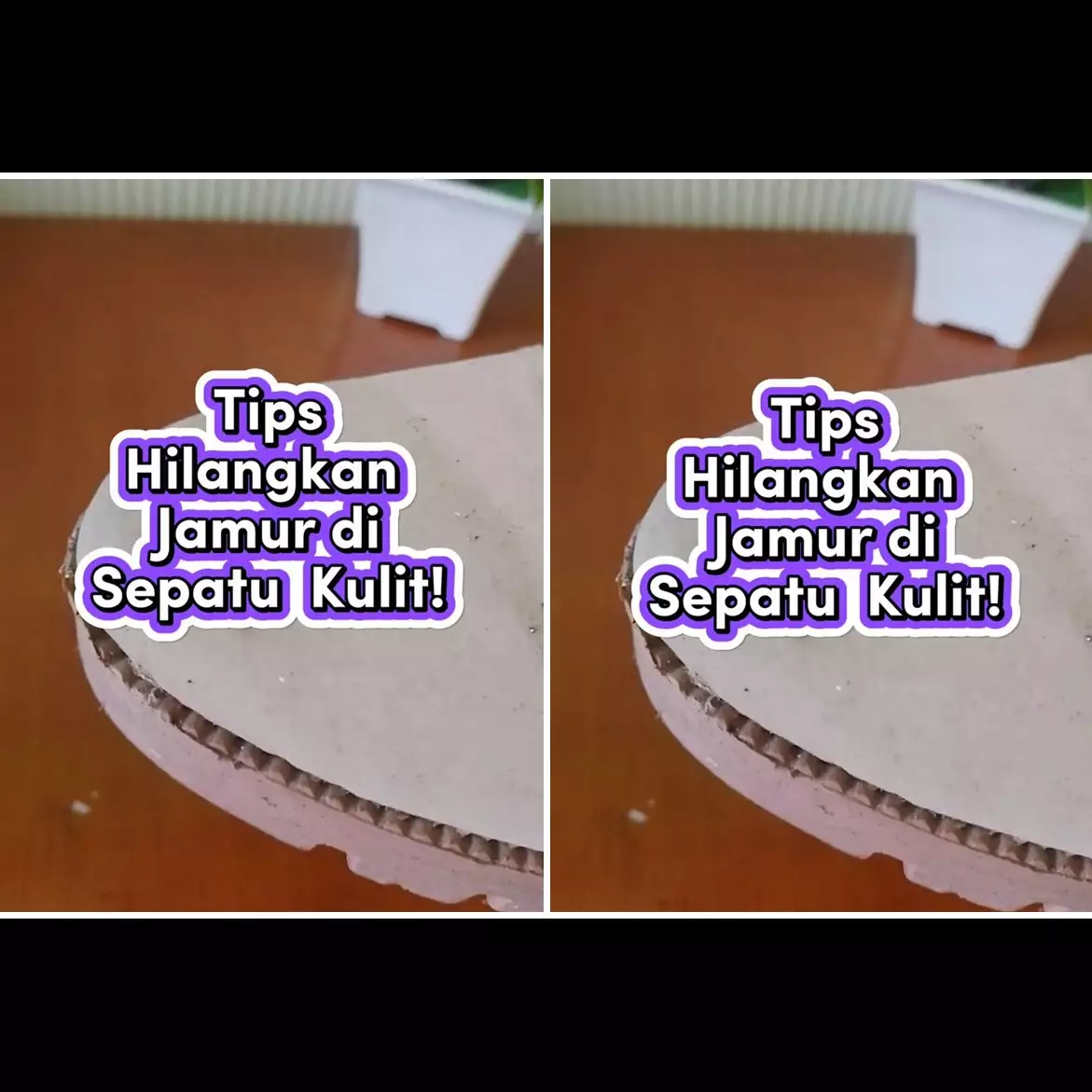 Trik hilangkan jamur di sepatu kulit, sekarang tak perlu rogoh uang Rp50 ribu