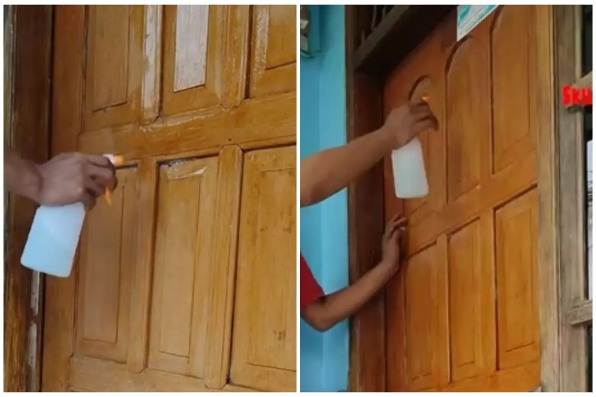 Tak pakai kapur barus, begini trik mencegah rayap merusak perabotan rumah