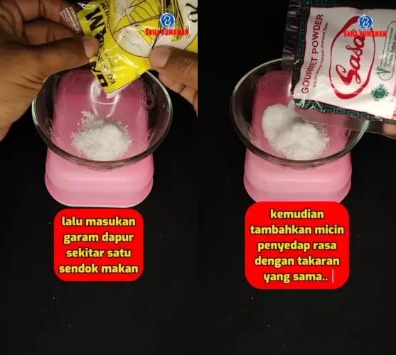 cegah perabotan kayu dimakan rayap © TikTok