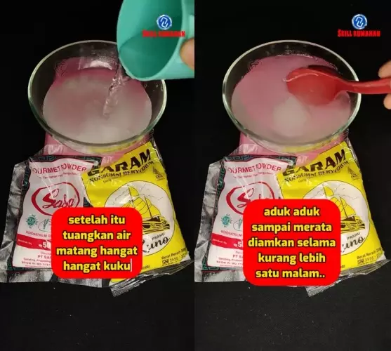 cegah perabotan kayu dimakan rayap © TikTok