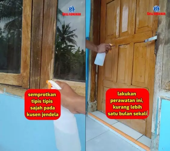 cegah perabotan kayu dimakan rayap © TikTok