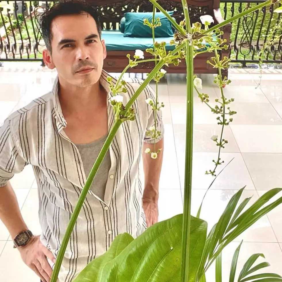 Mengenal prosedur penggusuran paksa oleh Pengadilan Negeri seperti yang dialami Atalarik Syah