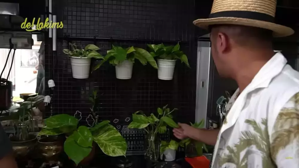 dapur soimah asri tanaman hias © 2025 YouTube