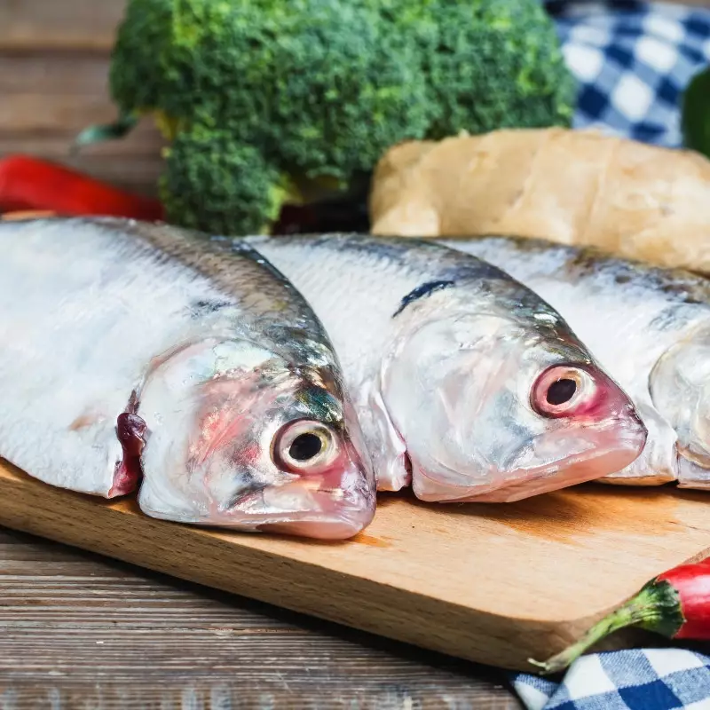 Cara deteksi ikan busuk hanya lewat ujung sirip dan warna insang, tak perlu cium bau