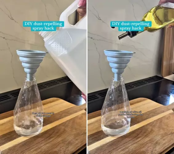 trik perabotan bebas debu pakai tambahan bahan dapur  © 2025 TikTok