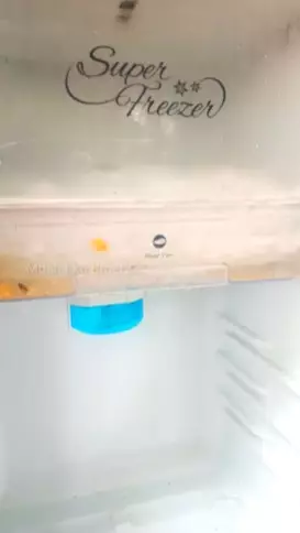 Cara membersihkan bunga es tebal di freezer kulkas 1 pintu © YouTube