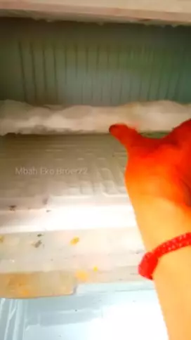 Cara membersihkan bunga es tebal di freezer kulkas 1 pintu © YouTube