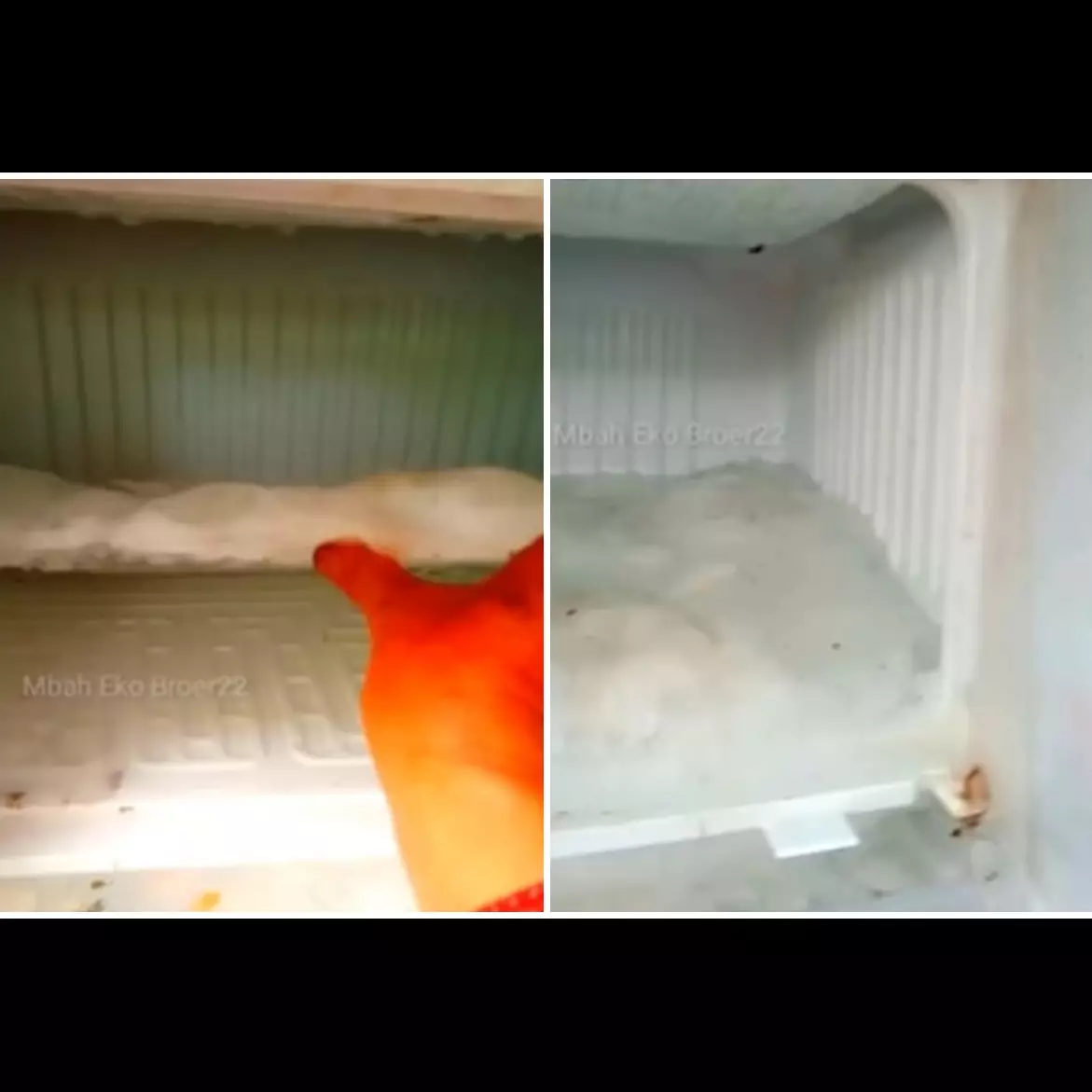 Bersihkan bunga es tebal di freezer cuma 5 menit, hanya pakai trik ini