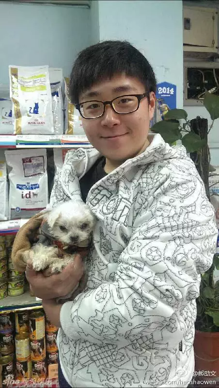 transformasi bocah plontos di film Boboho © berbagai sumber transformasi bocah plontos di film Boboho © berbagai sumber