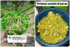 5 Cara jitu menghilangkan pahit bunga pepaya, kini masak tumis nggak khawatir lagi