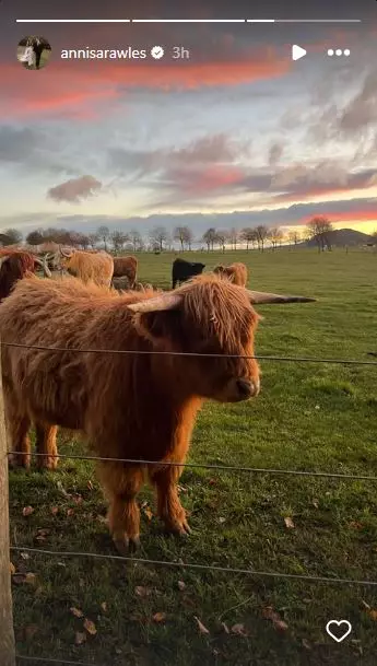 amanda rawles diam-diam menikah di australia  © 2025 brilio.net