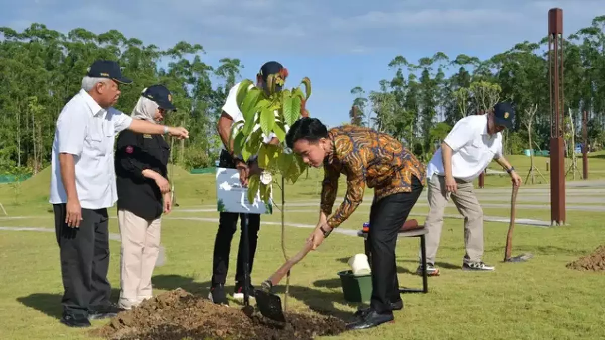 Gibran tanam pohon ulin di dekat Tugu Titik Nol IKN, apa maknanya?