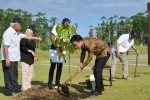 Gibran tanam pohon ulin di dekat Tugu Titik Nol IKN, apa maknanya?
