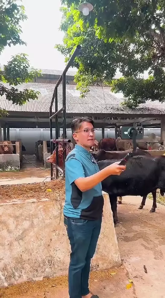 momen haru Ruben Onsu cari sapi kurban © Instagram momen haru Ruben Onsu cari sapi kurban © Instagram