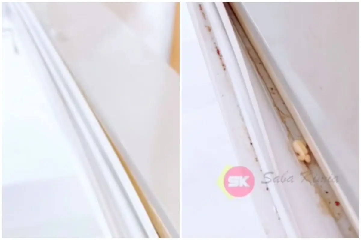 Tak perlu digosok pasta gigi, ini trik praktis bersihkan jamur di karet pintu kulkas