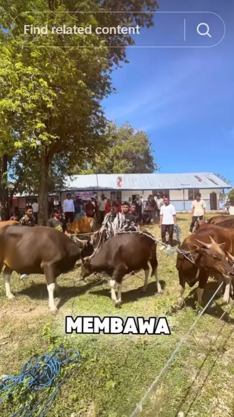 momen Atta Halilintar berkurban di NTT © Instagram