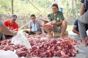 Sebelum masak cek dulu 5 ciri daging kurban yang sudah tidak layak konsumsi