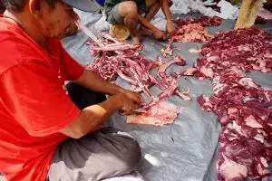 Baru dapat daging kurban? Ini urutan pengolahan yang tepat dari cuci sampai simpan