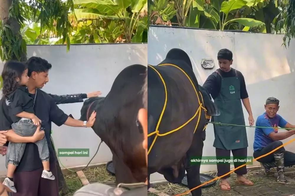 sonny septian sembelih sapi kurban © 2025 Instagram sonny septian sembelih sapi kurban © 2025 Instagram
