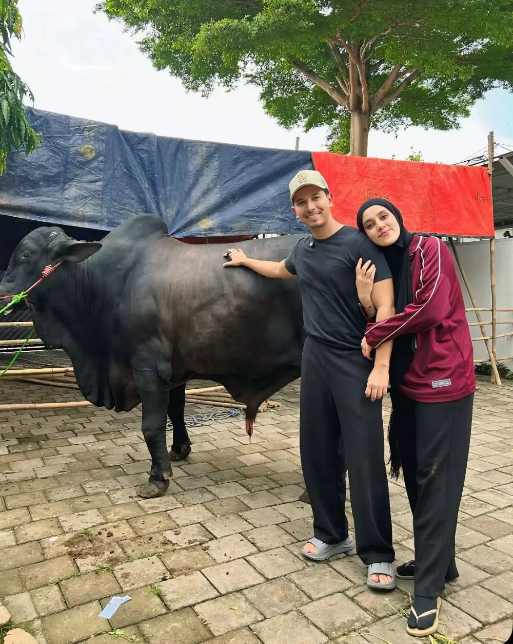 sonny septian sembelih sapi kurban © 2025 berbagai sumber sonny septian sembelih sapi kurban © 2025 berbagai sumber