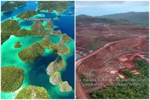 Greenpeace desak cabut izin semua tambang nikel, pentingnya proteksi penuh untuk ekosistem Raja Ampat
