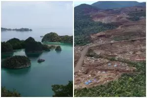 KKP bongkar dampak buruk tambang nikel yang mengancam keindahan Raja Ampat