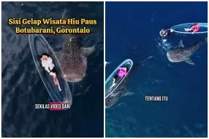 Kini jadi objek wisata idola, TikToker ungkap sisi gelap wisata hiu paus di Botubarani Gorontalo