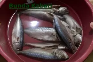 Ikan bebas formalin dalam 30 menit, cuma pakai cuka masak